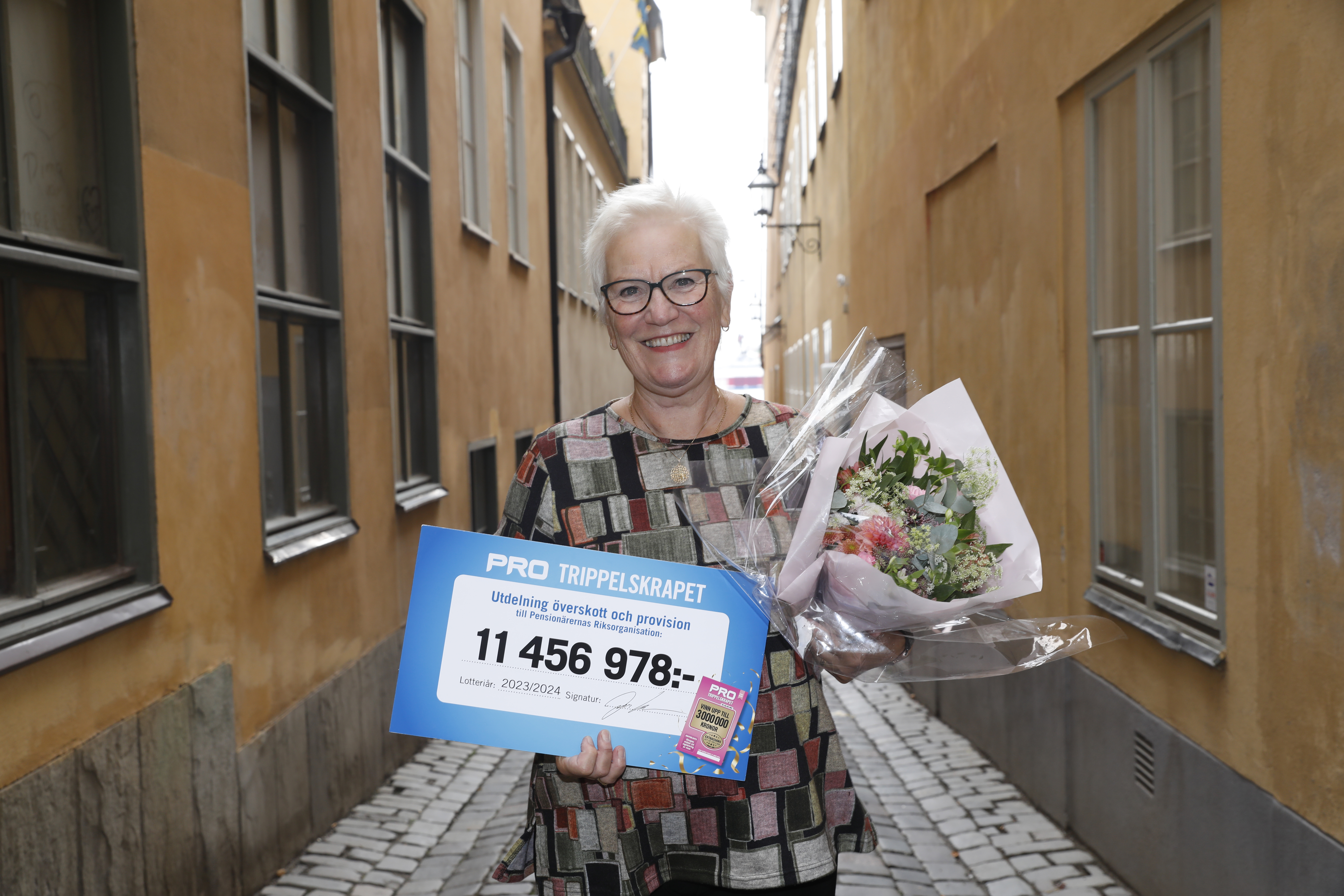 Över 11 miljoner till PRO